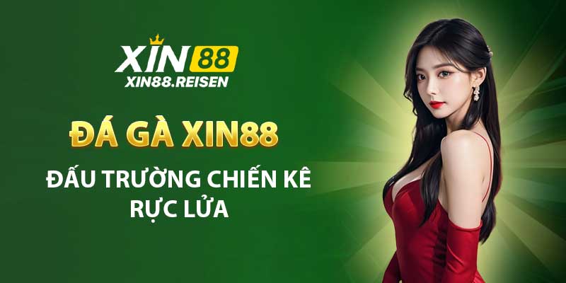 Đá gà xin88